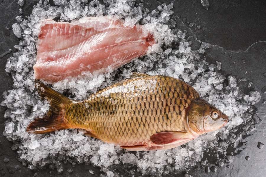 Termíny prodeje živých ryb a výrobků z ryb v prosinci 2023