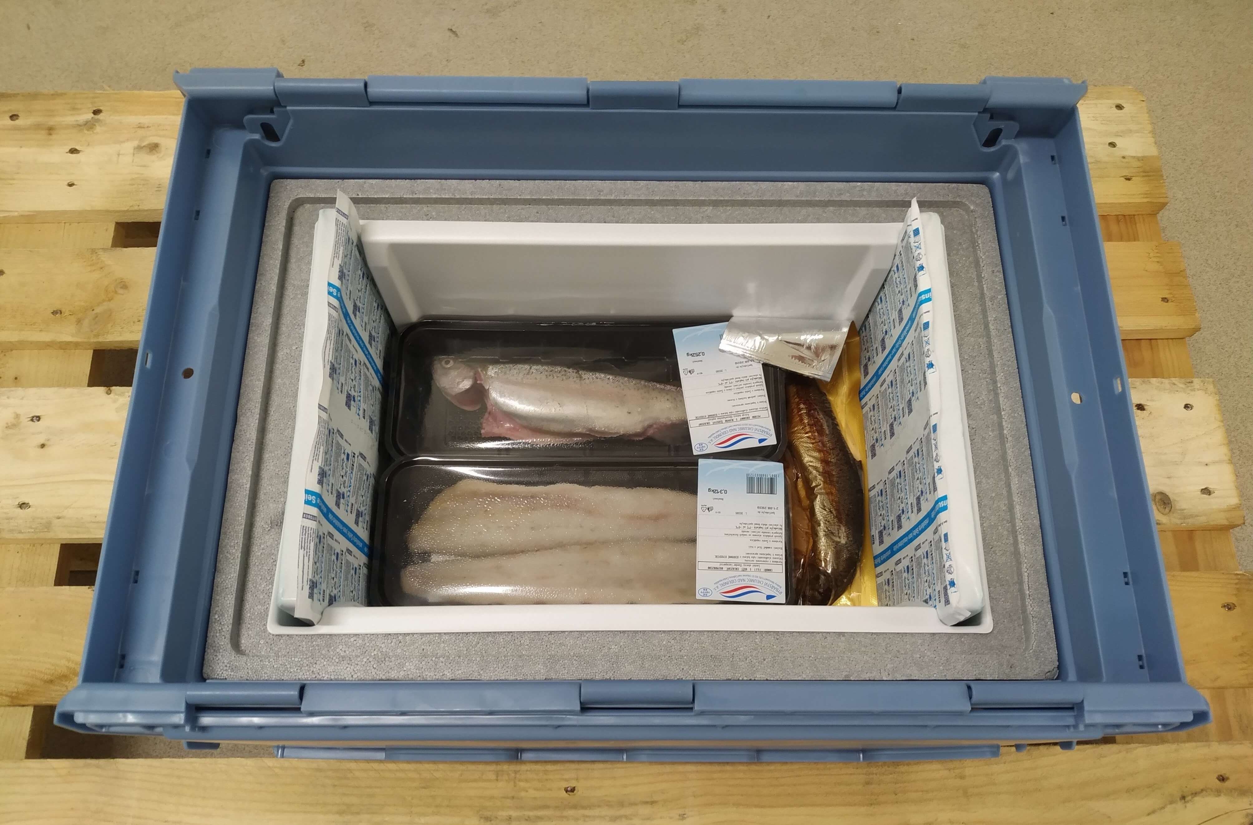 Chladicí box pro přepravu ryb