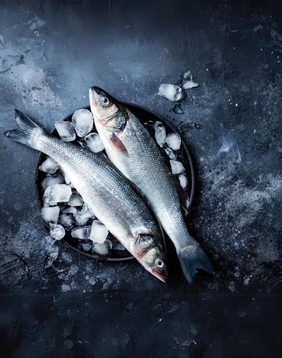 Úpravy ryb (1): Kuchyňská příprava rybího masa