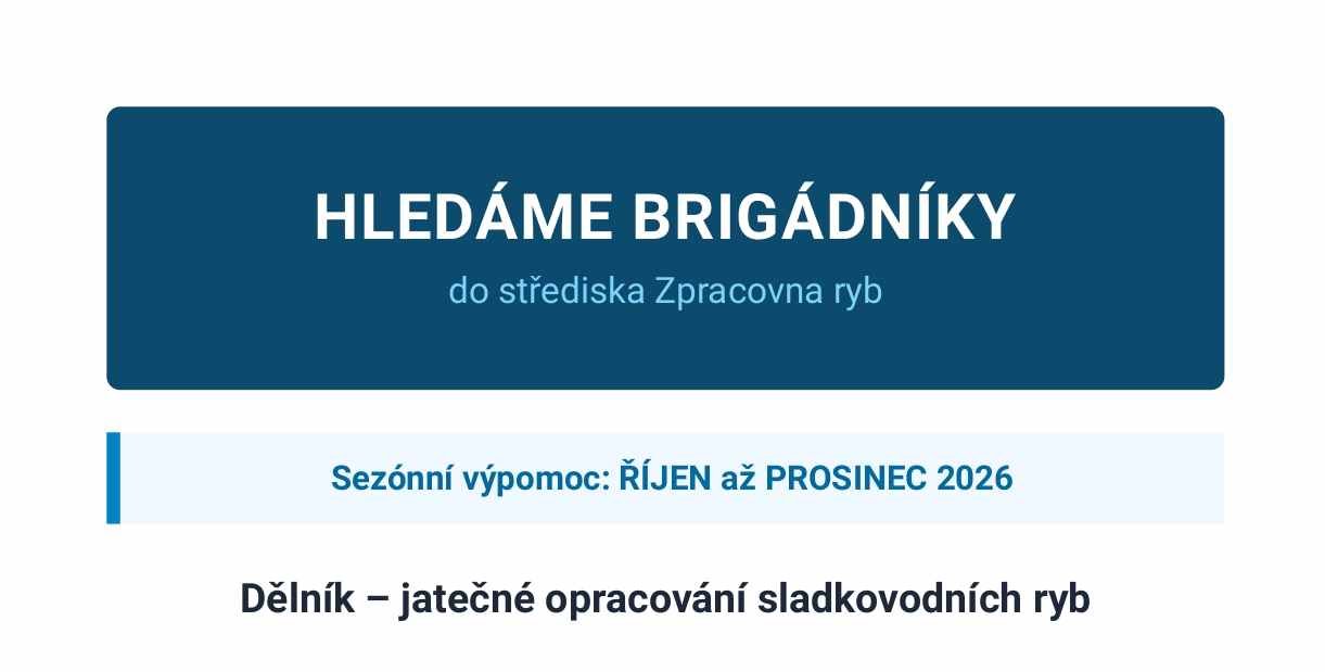 Nabídka práce-výpomoc ve výrobě v období říjen až listopad 2026