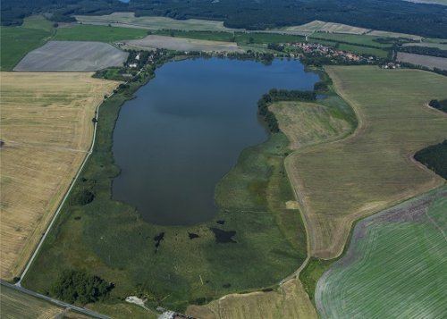 Rybníky