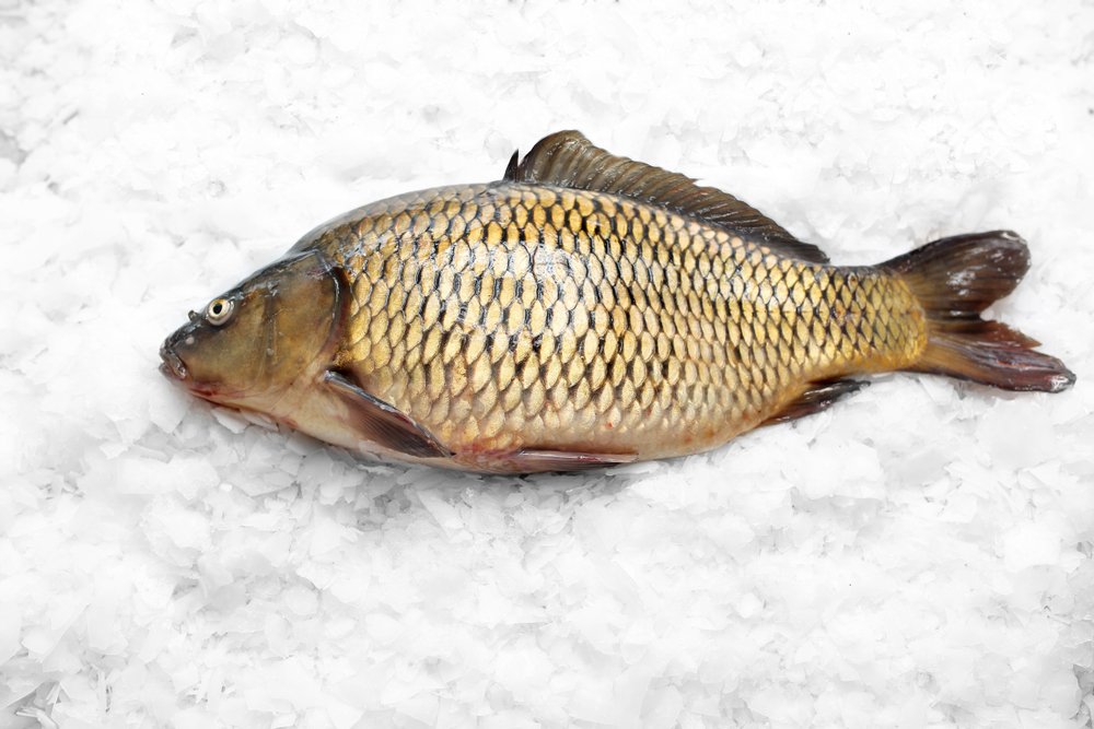 shutterstock_1324942826