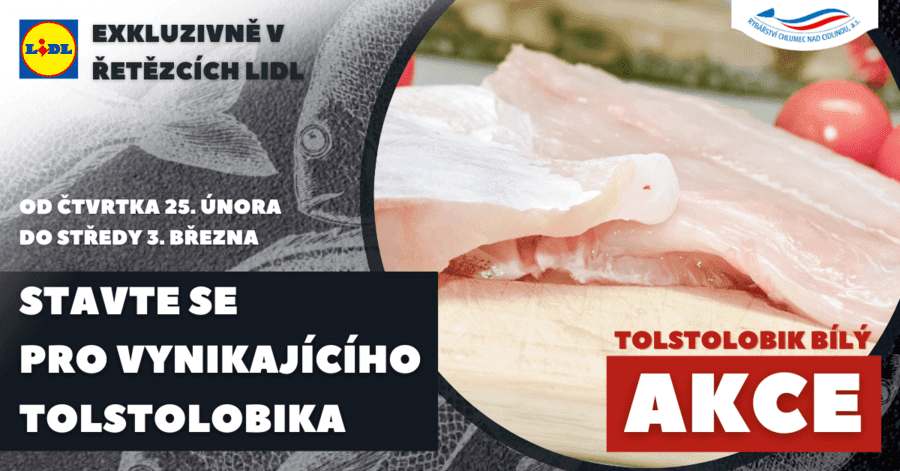 Stavte se do LIDLu pro vynikajícího tolstolobika