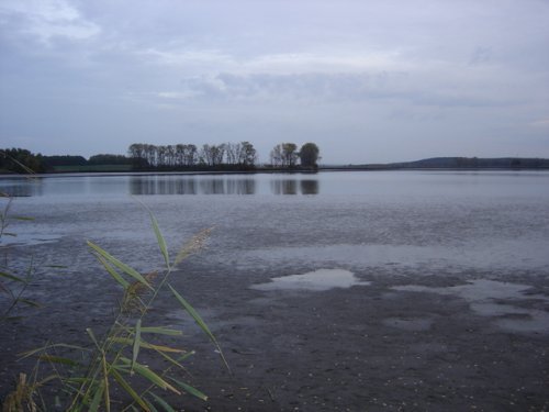 Výlovy rybníků
